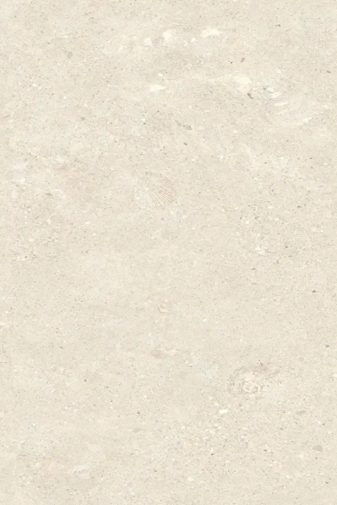 Marble-Shellfish Limestone Light Beige