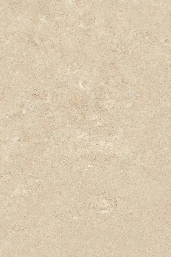 Marble-Shellfish Limestone Medium Yellow