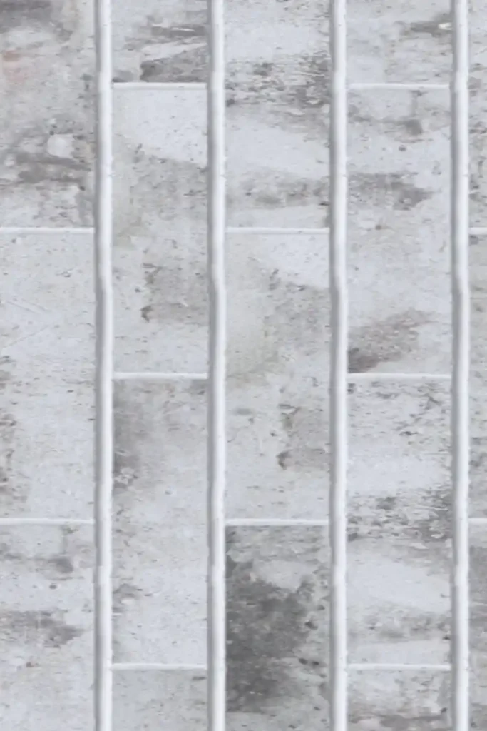 Misted White