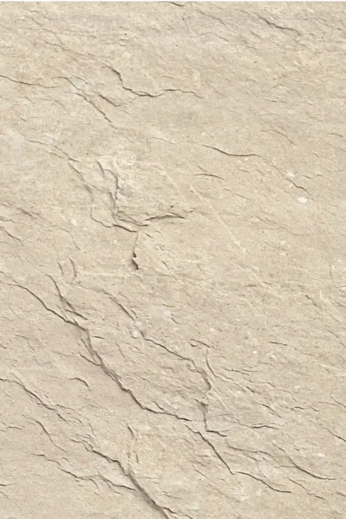 Mount Celestial-Shellfish Limestone Medium Yello