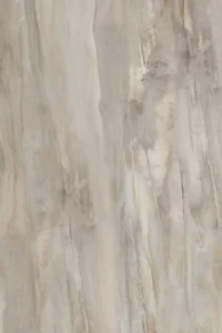 Polished Wood
