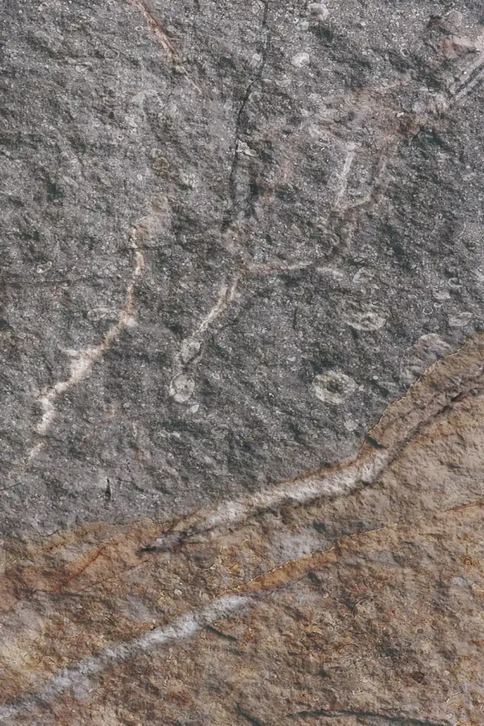 Rock Mottle Brown