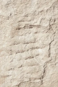 Devine Mushroom Stone