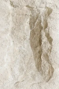 Crossard Mushroom Stone