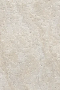 Butterfly Stone