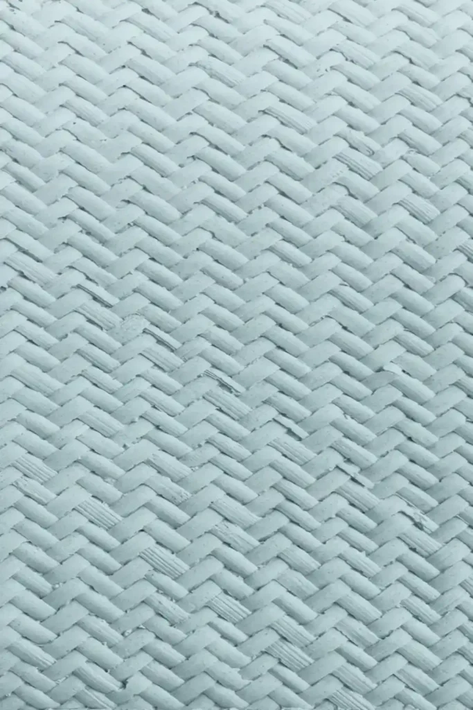 BN02