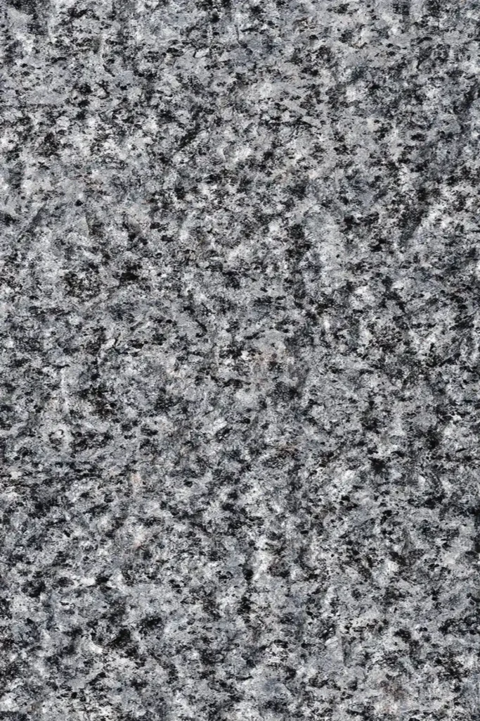 Black Sesame