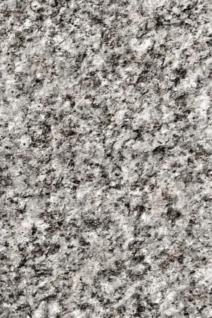 Black Sesame
