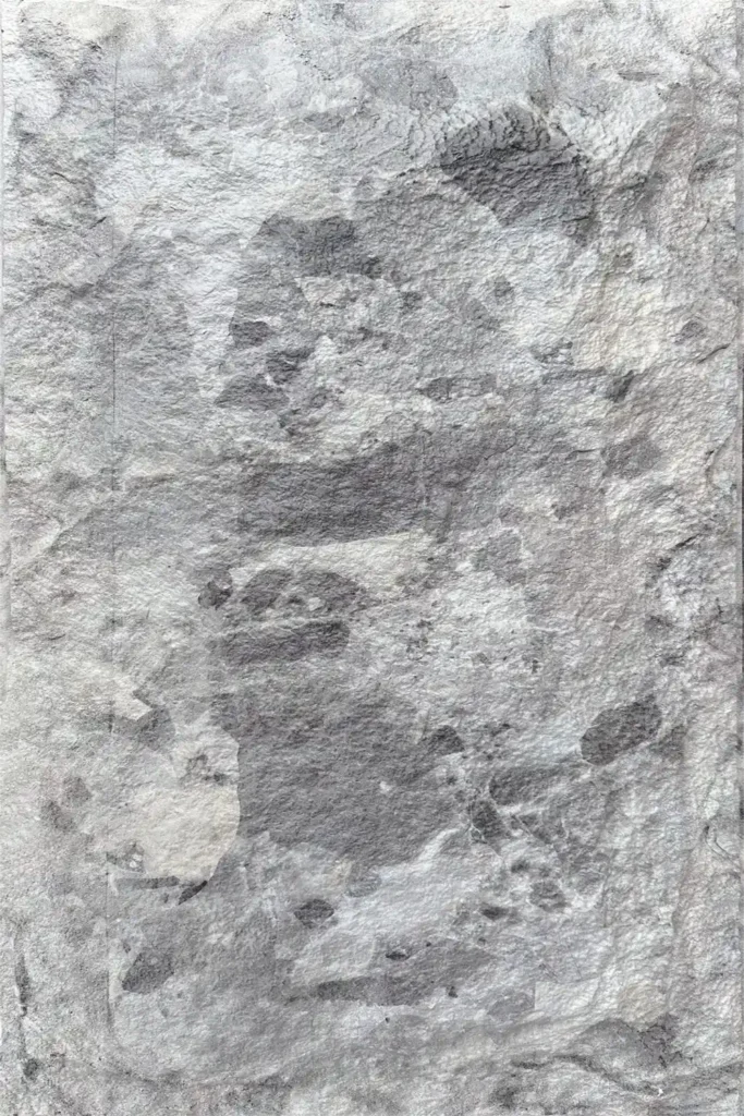 Bro Grey