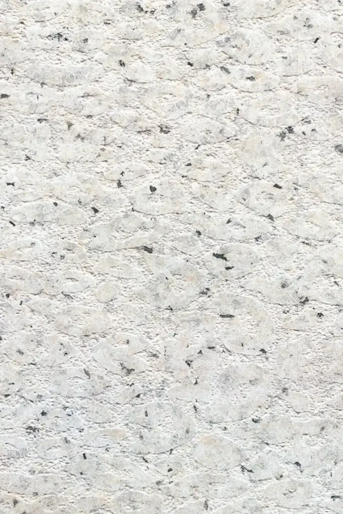 New White Sesame